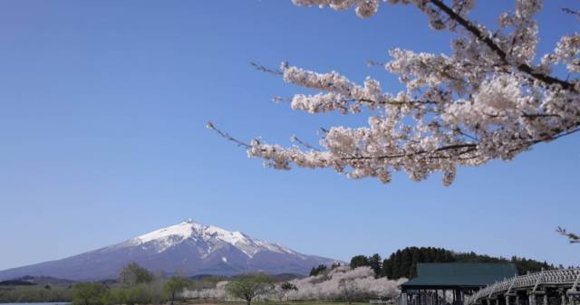 日本人超愛！她送「古早味零食」狂被讚　一票人共鳴：配藥吃超幸福